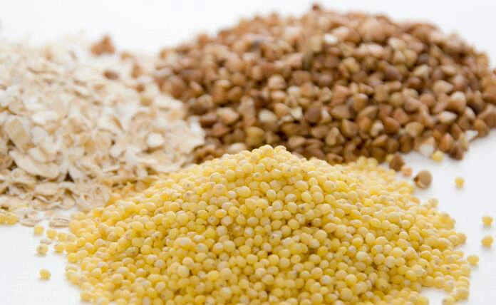 calcium propionate for feed