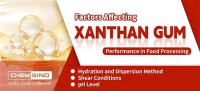 גורמים המשפיעים על ביצועי קסנתן גאם בעיבוד מזון