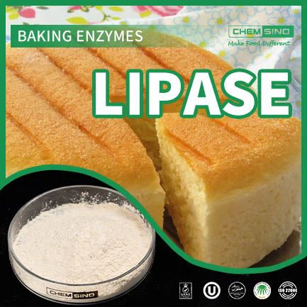 טכנולוגיית אנזימי ליפאז מהפכנית: עיכול טוב יותר ממתין מס' CAS:9001-62-1