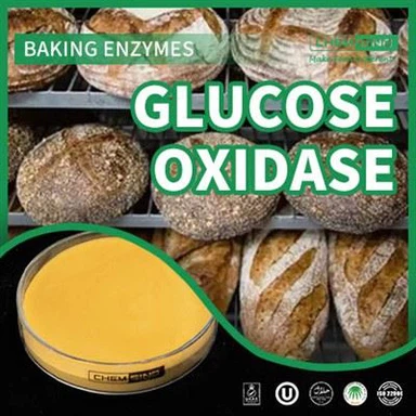 סין אנזים גלוקוז אוקסידאז ותהליך ייצור המזון שלך! מספר CAS: 9001-37-13