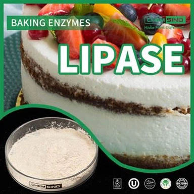שפר את ספיגת השומן: גלה את היתרונות של אנזים ליפאז CAS NO.:9001-62-1