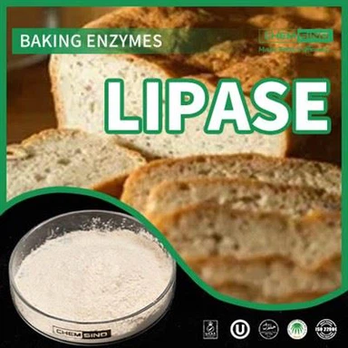 פתח את כוח העיכול עם תוספי אנזימי ליפאז! מספר CAS:9001-62-1