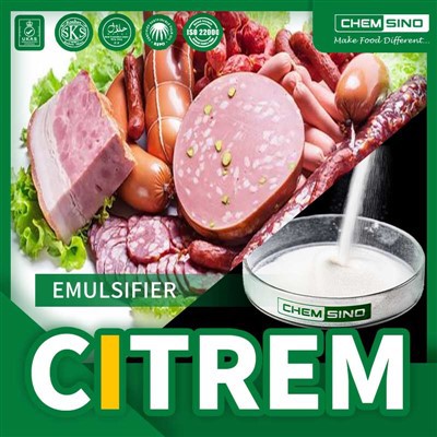 יצרן מתחלב CITREM E472c אמין|CAS 36291-32-4